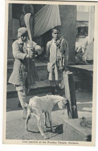 Postcard Goat Sacrifice Monkey Temple Benares India