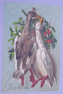 Dead Geese Birds Holly Victorian Christmas Greeting Card