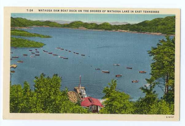 Linen of Watauga Boat Dock, Watauga Lake E Tennessee TN