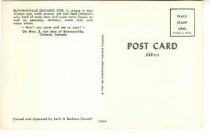 Peacock, Zoo, Bowmanville, Ontario