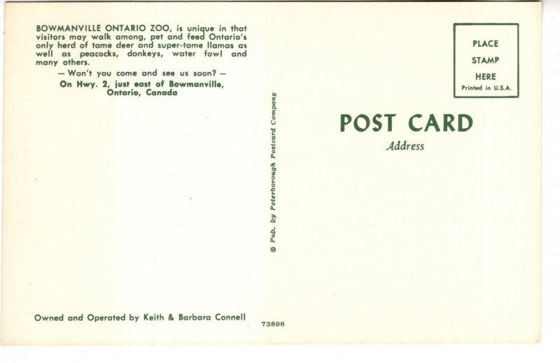 Peacock, Zoo, Bowmanville, Ontario