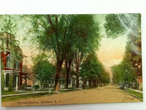 Vintage Postcard 1910's Clinton Ave Tree Lined Street View Cortland NY New York