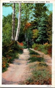 Woodland Trail Near Hubbard Lake Alpena MI Vintage Postcard L75