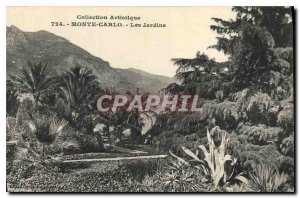 Old Postcard Artistic Monte Carlo Collection Gardens