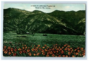 Vintage A Field Of California Poppies On Road To Mt Lowe Postcard P167E