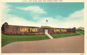 Vintage Postcard Fort Weare Game Park Bet. Knoxville & Gatlinburg Tennessee TN