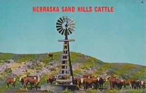 Nebraska Sand Hills Cattle