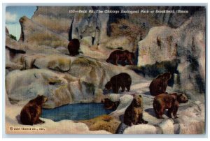 1945 Bear Pit The Chicago Zoological Park At Brookfield Oak Park IL Postcard 