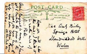 Genealogy Postcard - Family History - Birley - Llandniddod Wells - Wales   A1487