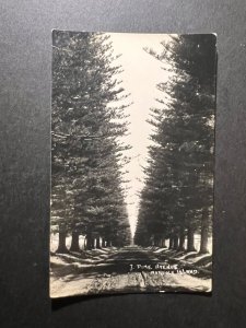 Mint Norfolk Island RPPC Postcard 7 Pine Avenue Pine Trees Road