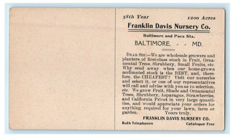 c1910s Rose Flower, Franklin Davis Nursery Co. Baltimore MD Advertising Postcard 
