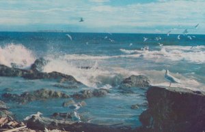 Juan De Fuca Straits Victoria BC Rough Sea Canada Canadian Postcard