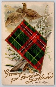 Greetings From Bonnie Scotland 1907 Postcard Y30