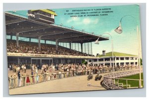 Vintage 1940's Postcard Greyhound Racing St. Petersburg Kennel Club Florida