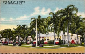Florida St Petersburg Coconut Grove Motor Hotel Curteich