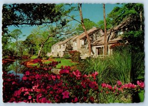 1992 Hilton Head Island South Carolina Postcard Homes Villas Blend Sea Pines