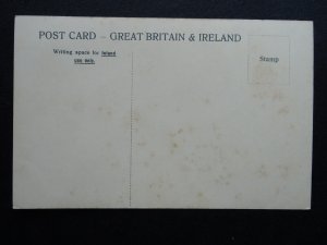 Leicester ORIGINAL VICTORIA PARK PAVILION c1905 Postcard