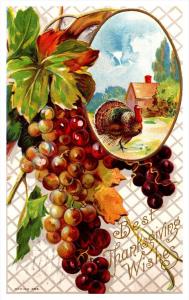 5322 Thanksgiving   Turkey, Grapes