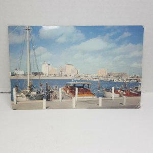 Skyline Seawall Corpus Christi Texas Vintage Postcard 