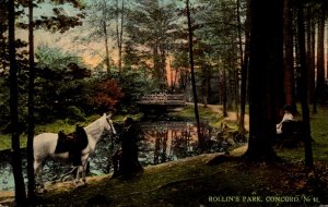 New Hampshire Concord Rollin's Park Scene With Man and Horse