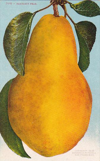 Bartlett Pear Fruit by Edward Mitchell