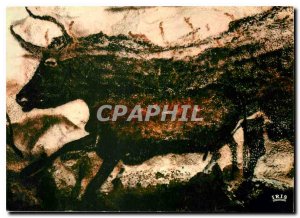 Modern Postcard Le Perigord Prehistoric Cave of Lascaux