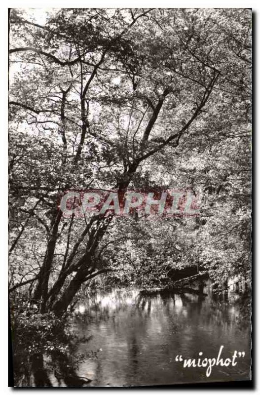 Old Postcard Picturesque Vivonne The sun-kissed shores Clain