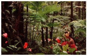 Anthuriums giant tree ferns wild bananas and ohia trees Hawaii Postcard