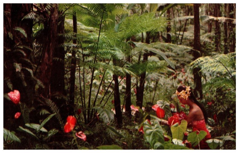 Anthuriums giant tree ferns wild bananas and ohia trees Hawaii Postcard