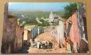 USED PC WOOD & COAL PEDDLERS W/ DONKEYS SAN MIGUEL, ALLENDE, Guanajuato MEXICO