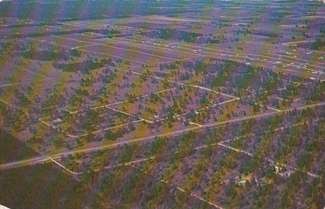 Florida Marion County Rainbow Acres Aerial View