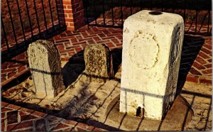 Vtg Mason Dixon Boundary Markers Delmar Delaware DE Unused Chrome Postcard