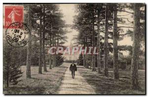 Surroundings of & # 39Ancenis Old Postcard Varadis The big paty