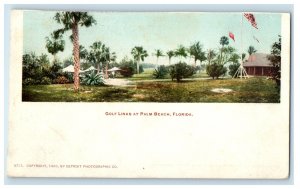 c1900s Gold Links at Palm Beach Florida FL Unposted Antique PMC Postcard