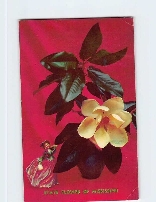 Postcard - Still-Life Magnolia - State Flower Of Mississippi