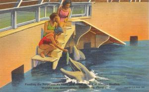 FL, Florida  MARINELAND OCEANARIUM~Bathing Beauties Feeding Porpoises   c1940's
