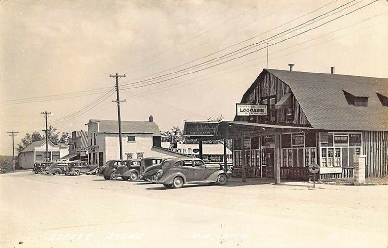 Mio MI Hardware Store Log Cabin Rooms Old Cars Street View Real Photo Postcard