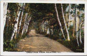 Greetings From Palatine Illinois Vintage Postcard C157