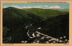 Little Pigeon Gorge, Great Smoky Mountains National Park TN Vintage Postcard J71