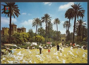 Spain Postcard - Sevilla - Maria Luisa Park    LC5405