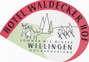 Switzerland Willingen Hotel Waldecker Hof Vintage Luggage Label sk2735