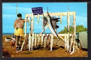 A Fine Catch of Fish,Florida Keys