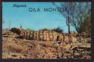 Gila Monster AZ Post Card 5057
