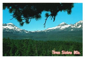 Postcard The Three Sisters Snow-Capped Mountains Cascade Range Central Oregon OR