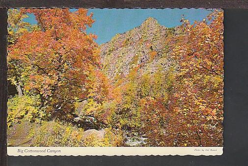 Big Cottonwood Canyon UT Postcard BIN 