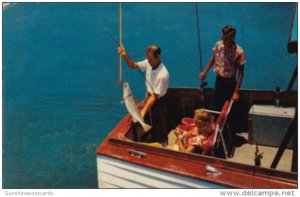 Fishing Gaffing A Speckled Trout In Florida Waters 1959