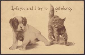 Let's You and I .... Cat and Dog Postcard