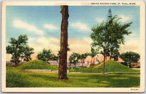 Indian Mounds Park St. Paul Minnesota MN Grounds Trees and Greenery Postcard