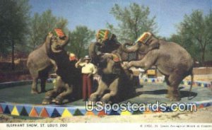 Elephant Show, St. Louis Zoo - Missouri MO Postcard