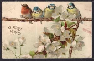 A Happy Birthday Birds Flowers BIN